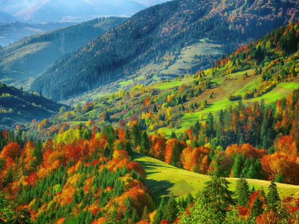 Natural Lands