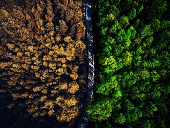 Rural Property
