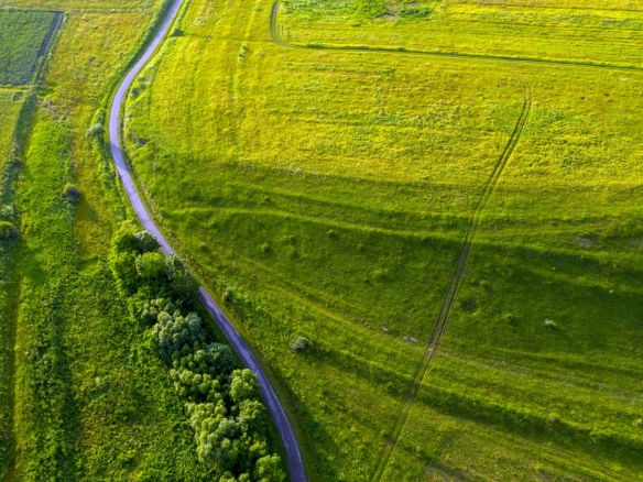 Beautiful Land