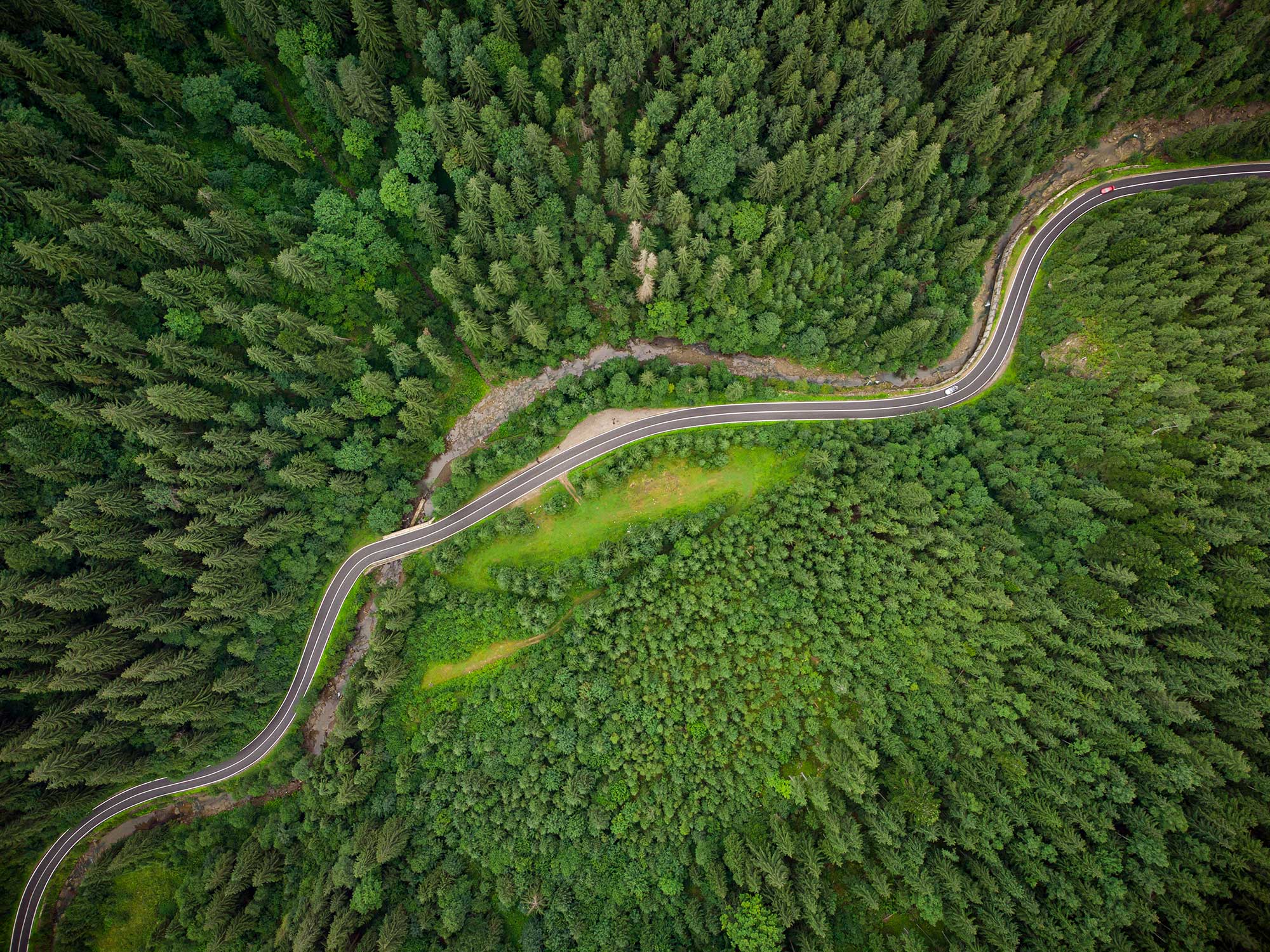Green Lot