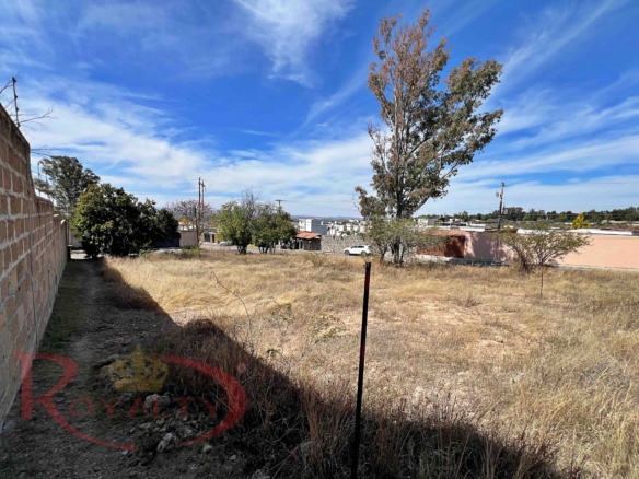 1004 Lote Frailes Calle Fray Juan San Miguel