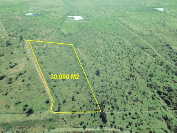 Hectáreas Rancho Cardenal