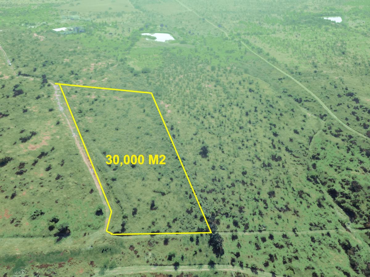 1498115195 Hectáreas Rancho Cardenal