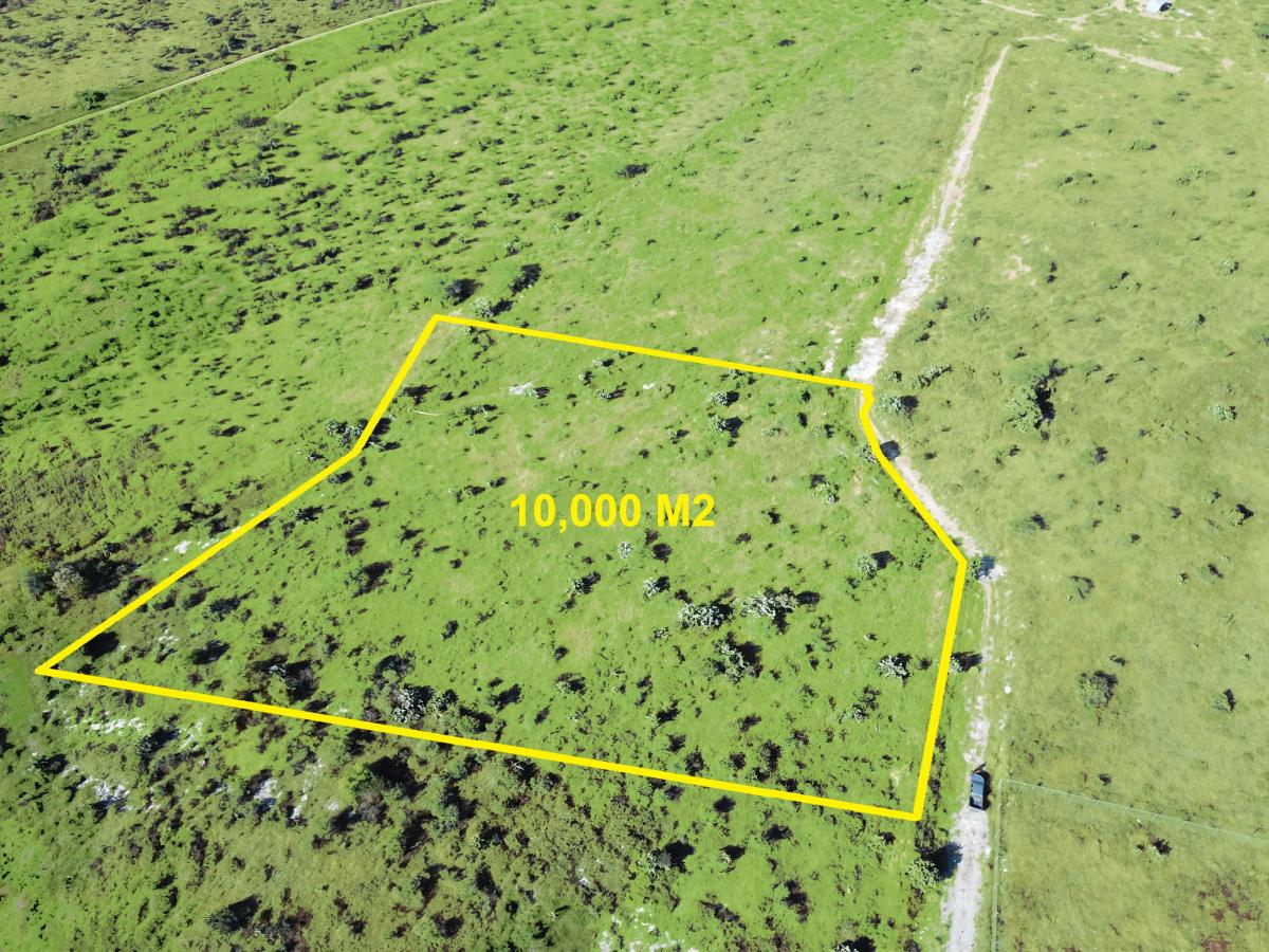 1498115196 Hectáreas Rancho Cardenal