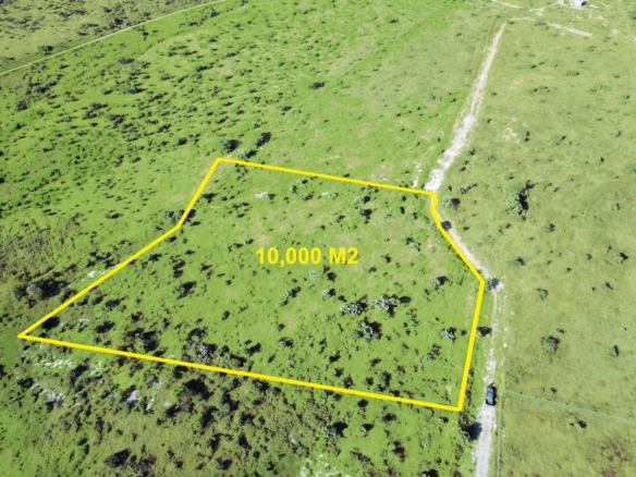 Hectáreas Rancho Cardenal
