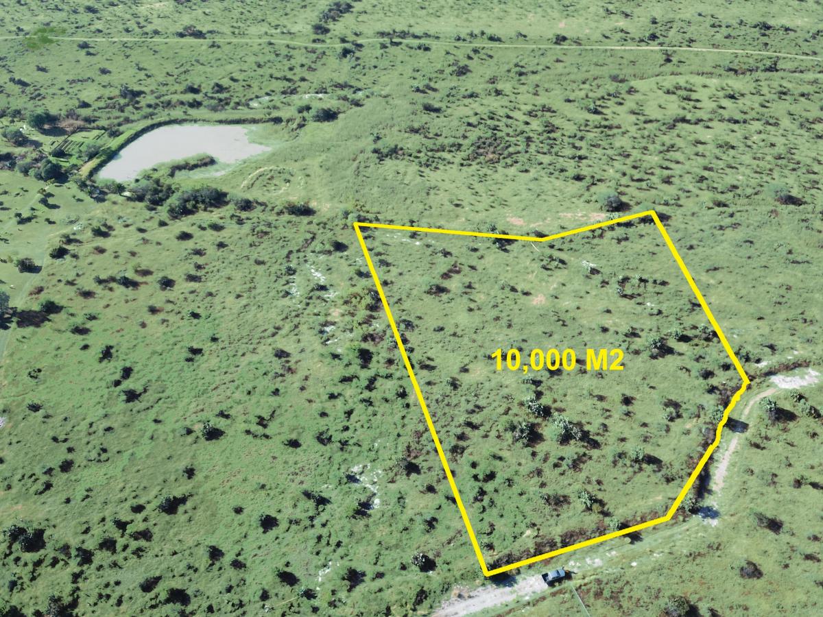 1498115198 Hectáreas Rancho Cardenal