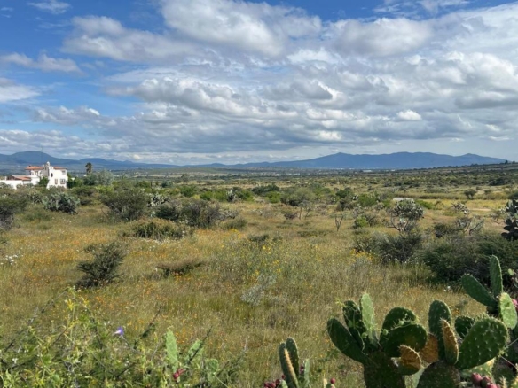 Hectáreas Rancho Cardenal