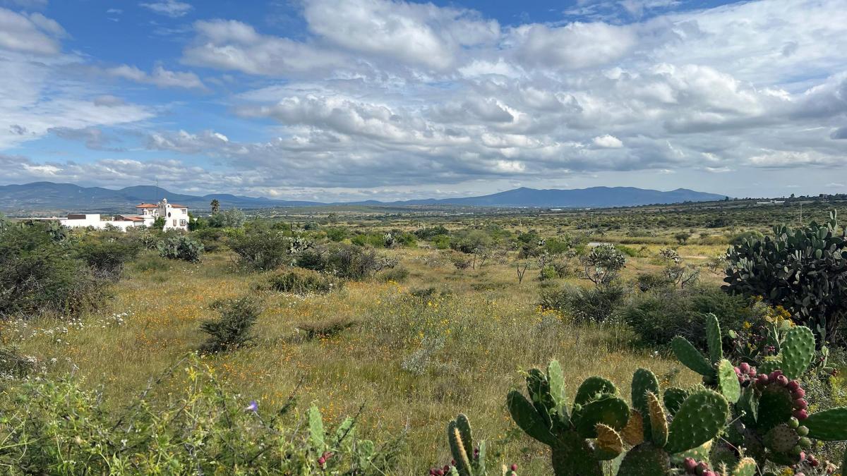 1498277341 Hectáreas Rancho Cardenal