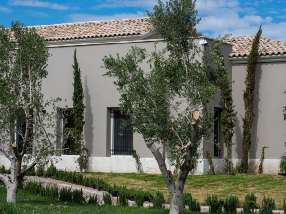 Lotes viñedo Santa Catalina